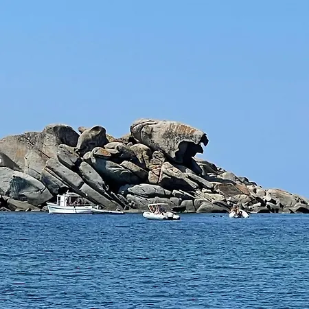 Valepina فيلة